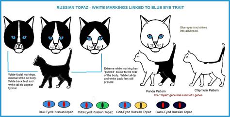 COLOUR AND PATTERN CHARTS