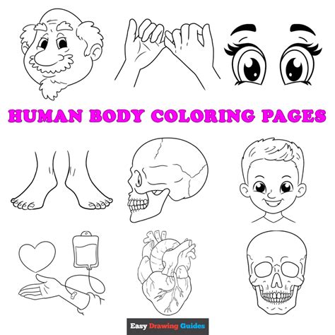 Coloring Pages: A Fun Way to Learn About Human Body Parts