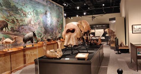 Brazos Valley Museum of Natural History | Destination Bryan