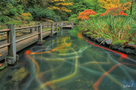 Electric Slide | Portland, Oregon - Japanese Garden | Aaron Reed