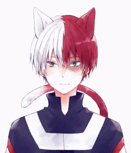 Todoroki Cat GIF - Todoroki Cat Bnha - Discover & Share GIFs