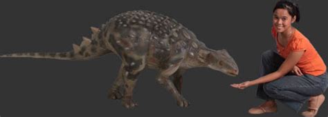 Minmi Ankylosaur (Not in Aus.) ( 100092 ) | Dinosaur Resin Replica ...