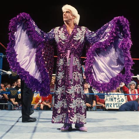 CrazyTights | Ric Flair (robes) - Purple