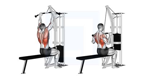 Cable Pulldown - Guide, Benefits, and Form