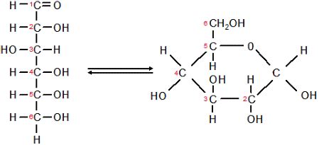 What is the molecular formula for glucose? How can its structural ...