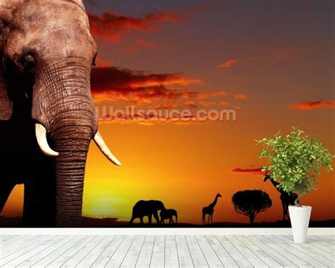 African Safari Wallpaper Wall Mural | Wallsauce UK