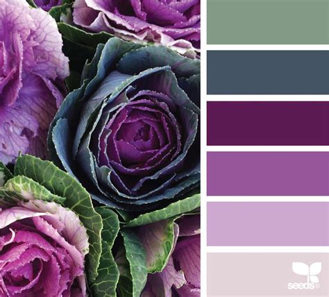 Market Hues | Seeds color, Color schemes, Purple color palettes