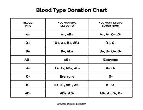 Blood Type And Compatibility Chart Poster | ubicaciondepersonas.cdmx.gob.mx