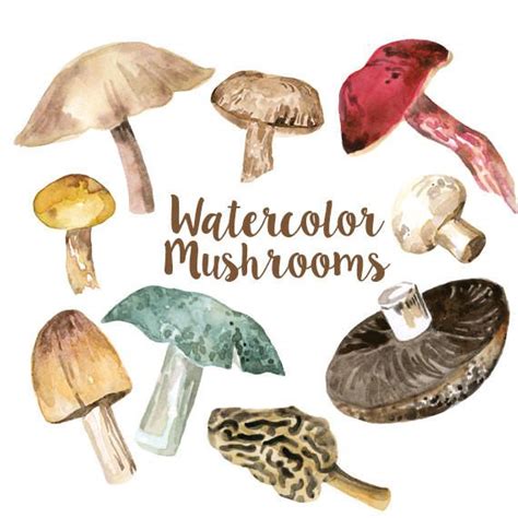 Free Fungi Cliparts, Download Free Fungi Cliparts png images, Free ...