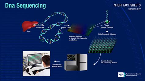 Next Generation Sequencing (NGS) - Soluciones para la Secuenciación de ...