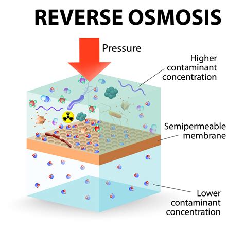 How Does Reverse Osmosis Work? - Advanced Water Solutions