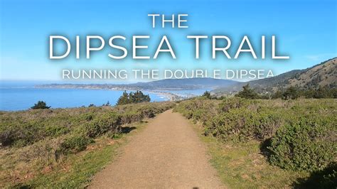 The Dipsea Trail - Running the Double Dipsea - Mill Valley - Muir Woods ...