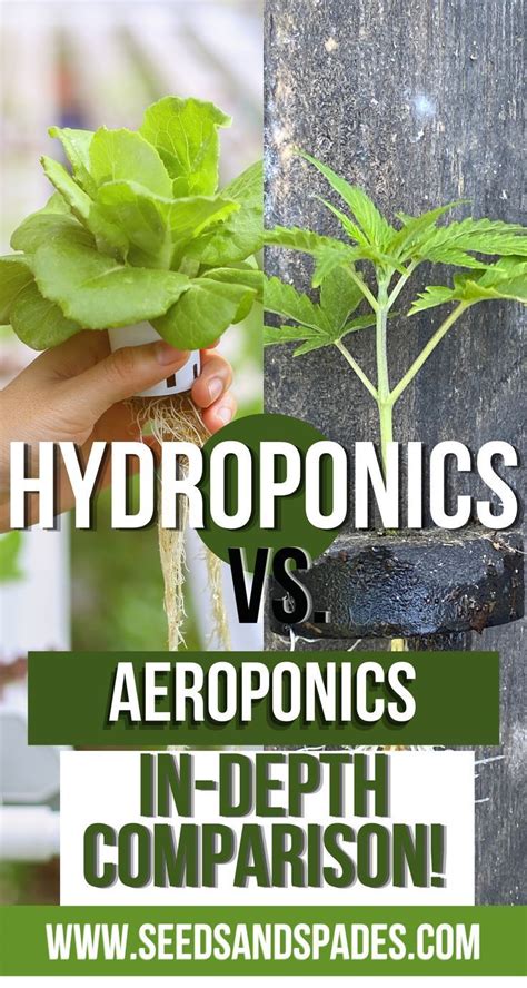 What’s the difference in aeroponics vs hydroponics? Hydroponics ...