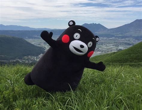 くまモン kumamon | Anime, Kumamon, Kawaii