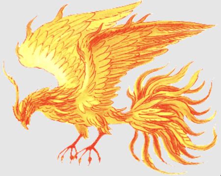 Phoenix Mythology | Story & Symbolism | Study.com