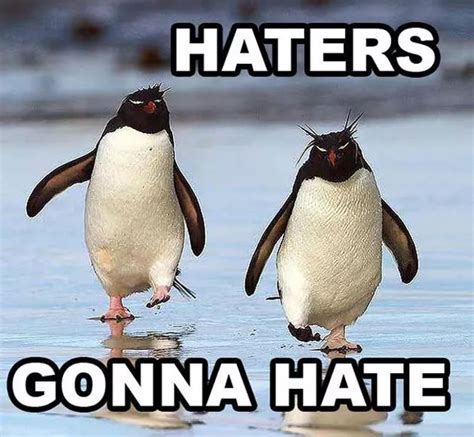 24 Memes That Prove Penguins Are The Funniest Animals On Earth ...