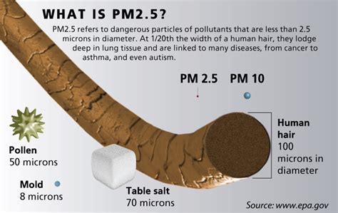 Particulate matter