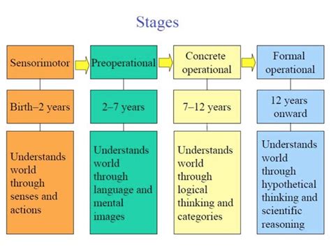 Jean Piaget Stages Of Development Chart | Images and Photos finder