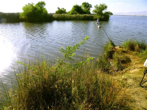 Lake Buena Vista In Bakersfield California