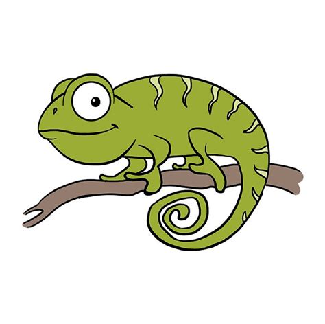 How To Draw A Cameleon at How To Draw