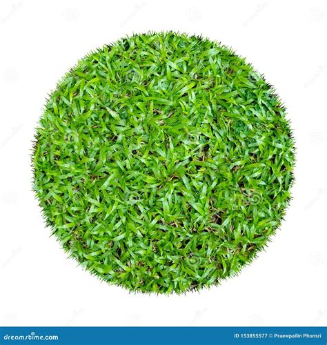 Abstract Green Grass Texture for Background. Circle Green Grass Pattern ...