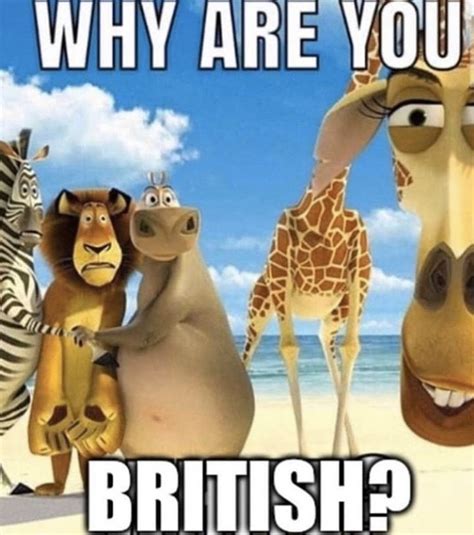 #memes #madagascar #lol #british | Memes, Funny memes, Funny laugh