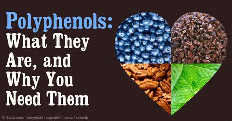 Polyphenols: What They Are, and Why You Need Them