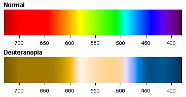 Easy Colors to See for Visual Imairment High Contract - Daugherty ...