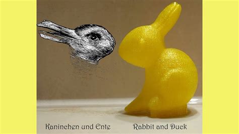 Rabbit and Duck Illusion in 3D - YouTube