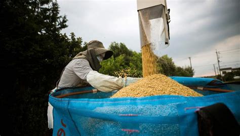 Photos: Japan’s ageing rice farmers shoulder an uncertain future ...