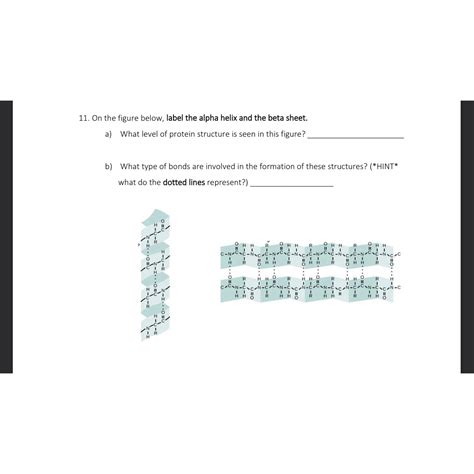 Solved On the figure below, label the alpha helix and the | Chegg.com