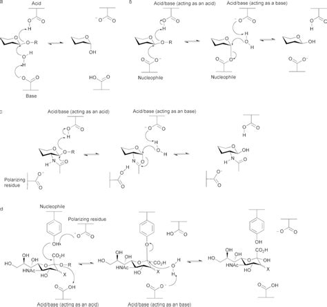 Glycosidase mechanisms for hydrolysis. (a) 'Classical' mechanism for ...