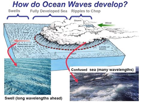 The physics and science behind waves and wave formation - Boas-Ondas.Surf