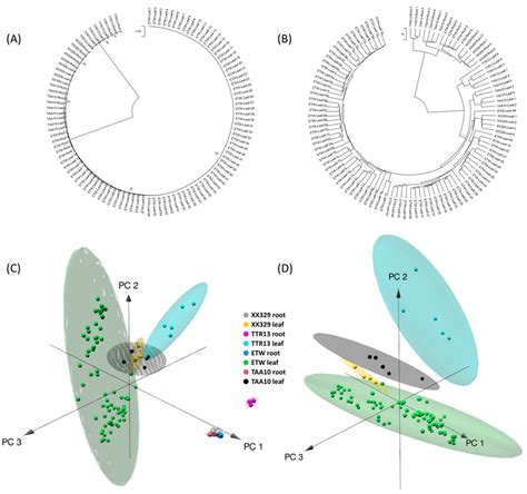 IJMS | Free Full-Text | Developmental Instability and Gene ...