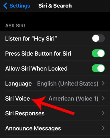 How to Change Siri's Voice on Your iPhone or iPad » The Wonder of Tech