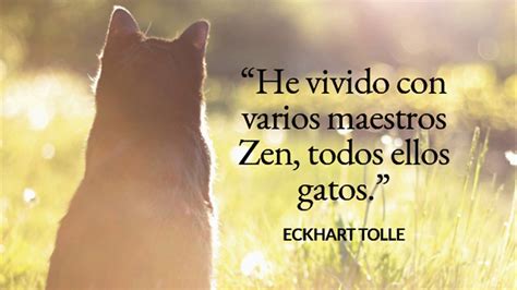 20 frases de gatos que te emocionarán