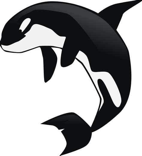 Killer Whale Clipart - Cliparts.co