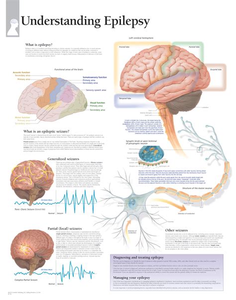 Seizures System Disorder Template