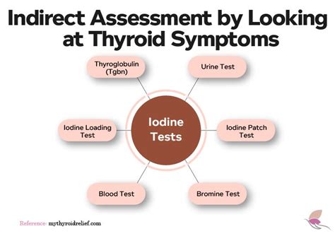 How iodine Deficiency Affects Thyroid Function - My Thyroid Relief