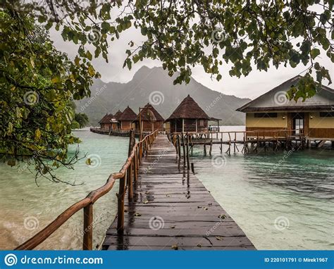 Ora Beach Resort, Indonesia Stock Image - Image of palm, central: 220101791