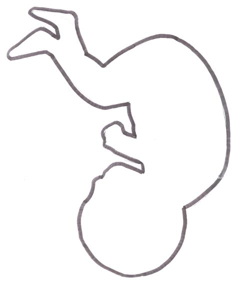 Baby Outline Drawing at PaintingValley.com | Explore collection of Baby ...