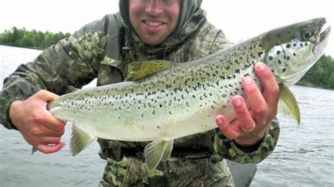 Quabbin Reservoir Landlocked Salmon Fishing, Massachusetts - YouTube