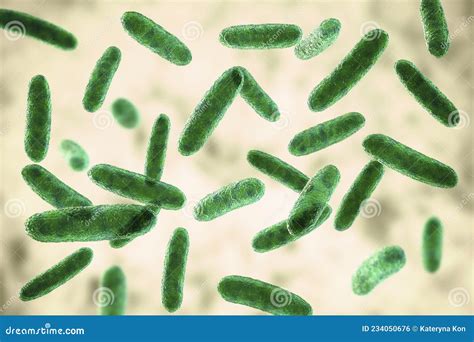 Bacteria Citrobacter, Gram-negative Coliform Bacteria In The Family ...