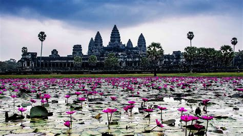 Angkor Wat HD Wallpaper Free Download