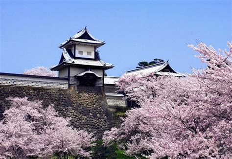 Kyoto Cherry Blossom Desktop Wallpapers - Top Free Kyoto Cherry Blossom ...