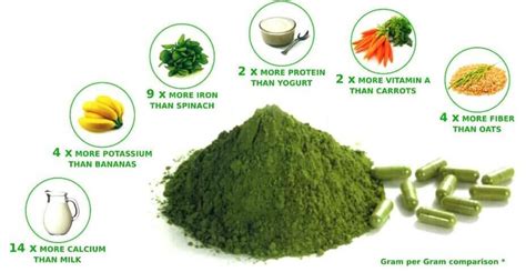 10 Health Benefits of Spirulina: A Nutrient-Packed Superfood