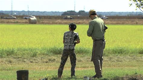 White Wing Dove Hunting - YouTube