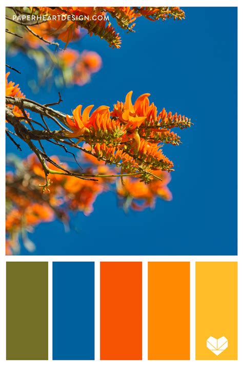 Color Palette: Outstanding Orange — Paper Heart Design