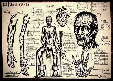 Wendigo Transformation Sequence (P. 3) : darkestdungeon