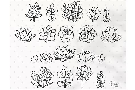 Succulent SVG & PNG Clipart Bundle. Home Graphic by FlipLineArt ...